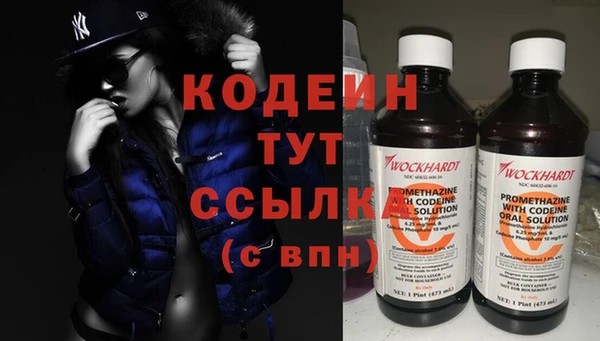 молекула духа Медвежьегорск