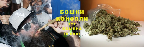 молекула духа Медвежьегорск