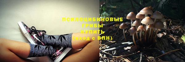 молекула духа Медвежьегорск