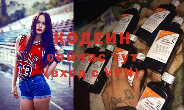 молекула духа Медвежьегорск