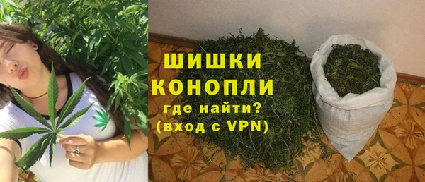 молекула духа Медвежьегорск