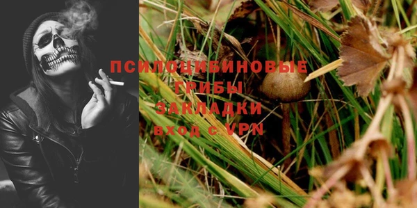 прущая мука Медногорск