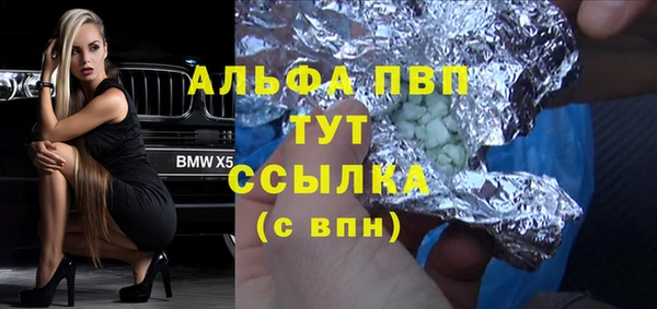 молекула духа Медвежьегорск