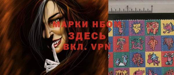индика Михайлов
