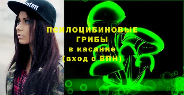 молекула духа Медвежьегорск