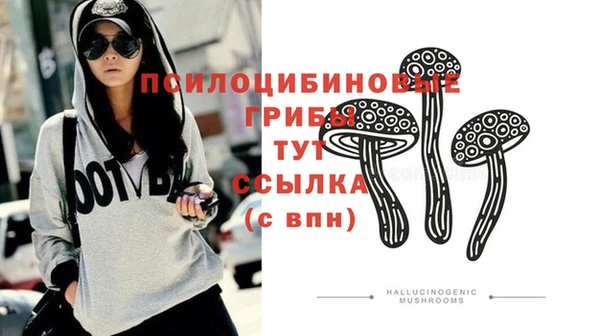 прущая мука Медногорск