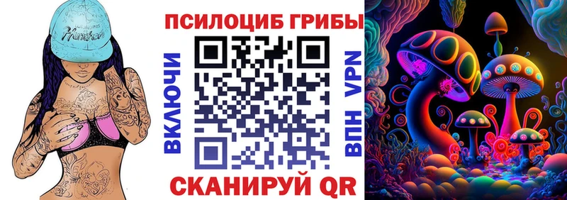 закладки  Таруса  Галлюциногенные грибы Cubensis 