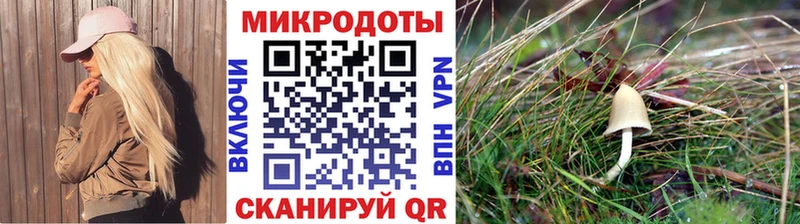 Галлюциногенные грибы мицелий Таруса